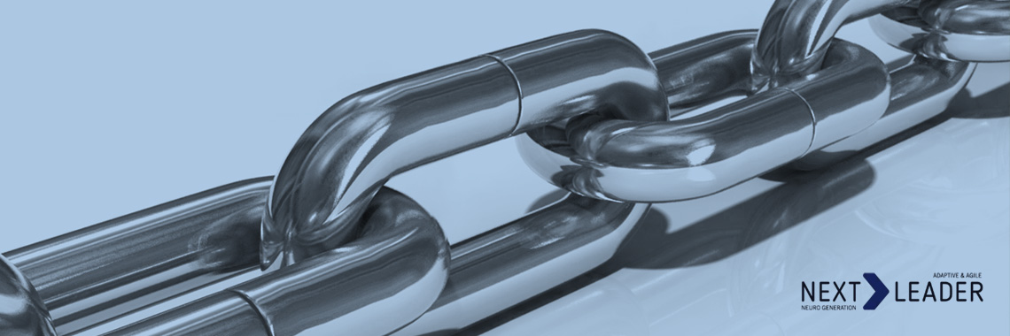 Sistema Operativo de Liderança // Next New Generation Leader